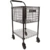 Gamma Brute Teaching Cart 325 Ball Hopper